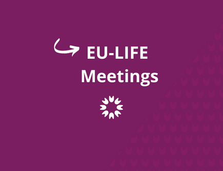 EU-LIFE Strategy meeting 2024