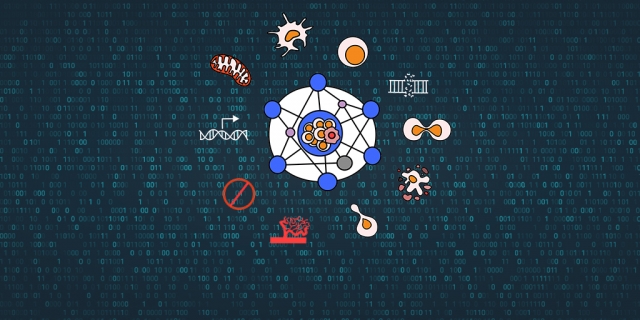 Cancer Hallmarks