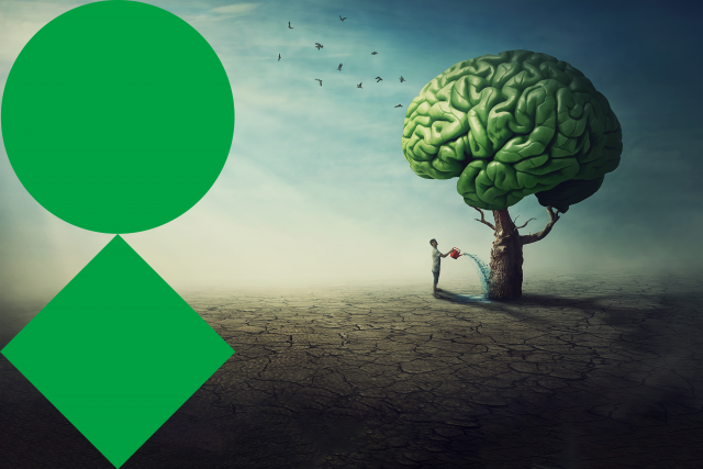 New horizons in neurodevelopment and neuropsychiatry