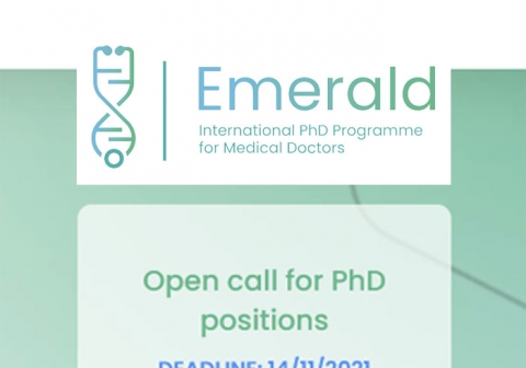 Open call banner