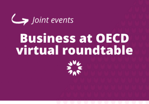 Virtual Roundtable on leveraging private investment in health and life sciences