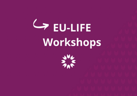 Storytelling Workshop