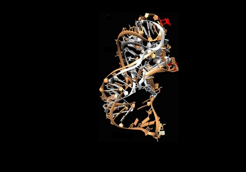 Image for the course