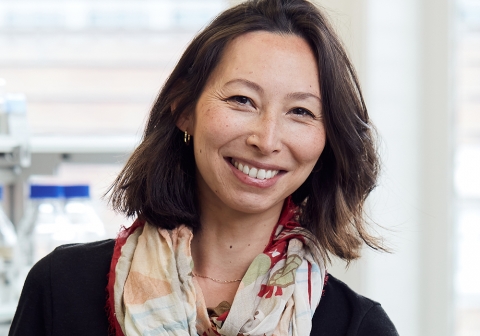 Margherita Yayoi Turco, Junior Group Leader at FMI