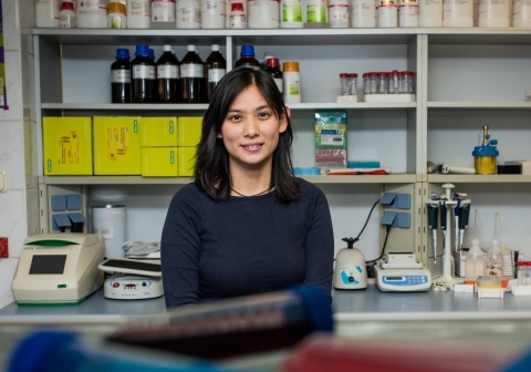 Cecilia Winata, Laboratory Leader at IIMCB