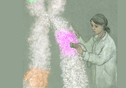Genome Instability and Human Disease Poster