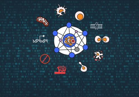 Cancer Hallmarks