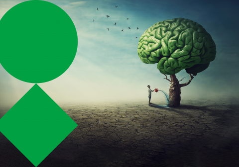 New horizons in neurodevelopment and neuropsychiatry
