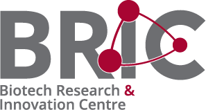 BRIC visual identity