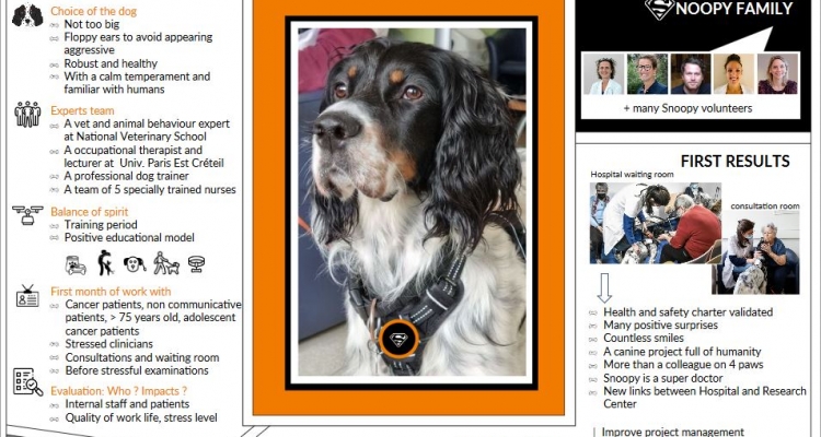 Snoopy, the mediation dog at Institute Curie