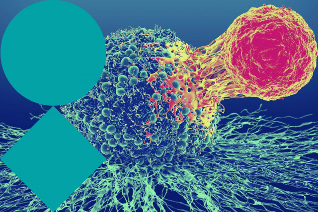 VIB Type 2 Immunity in Homeostasis and Disease
