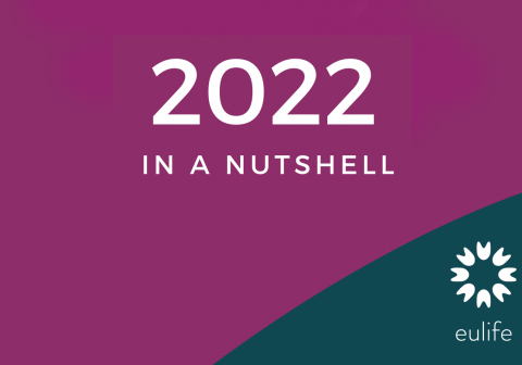 2022 in a nutshell